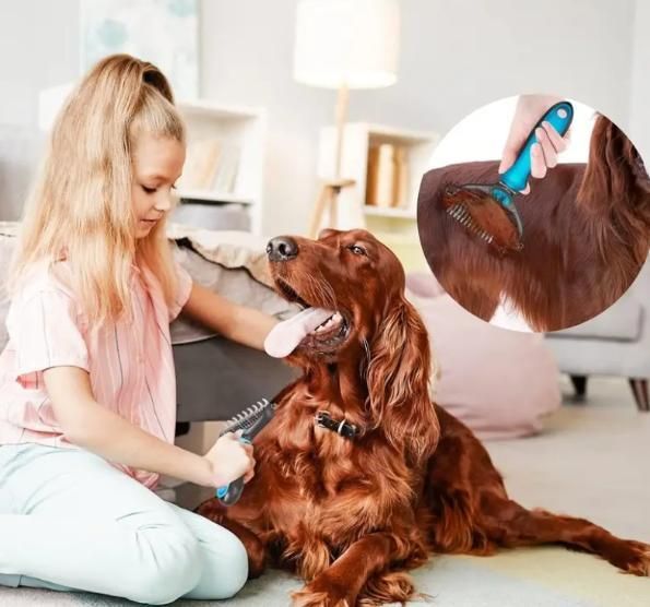 2 in 1 Deshedding Grooming Undercoat Brush - Gravidaa -