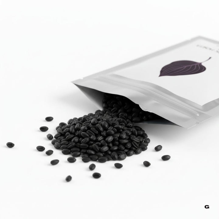 Rare Black Hosta Seeds – 30+ Premium Seeds + 100g Organic Pot Mix Starter Pack - Gravidaa - 