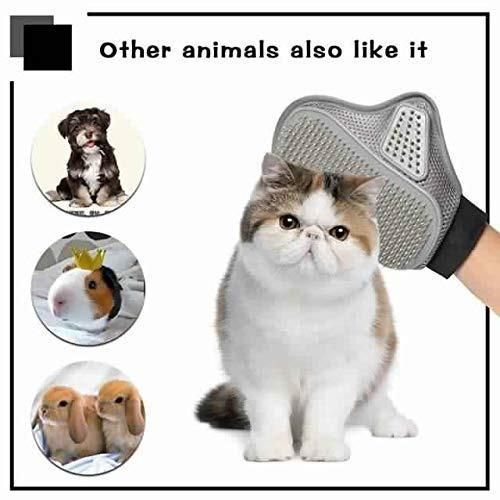 Stainless Steel Pet Grooming Glove - Gentle Deshedding Brush - Gravidaa -